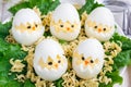 Little chicken in nest, deviled eggs served with salad and dry ramen on plate, horizontal