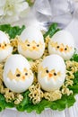 Little chicken in the nest, deviled eggs served with salad and dry ramen on white plate, vertical