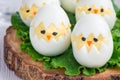 Little chicken in the nest, deviled eggs served with salad on wooden board, horizontal