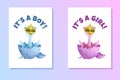 Little Chicks - Baby Gender Announcement (Set of Two