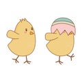 Little chicks with broken eggs easter characters