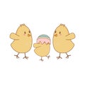 Little chicks with broken eggs easter characters