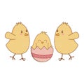 Little chicks with broken eggs easter characters