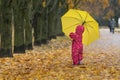 Little chid behind large yellow umbrella and walks on the fallen leaves. Child in autumn park