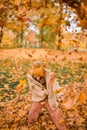 Little Child Baby Girl Caucasian Walking in Park with Leaf Autumn