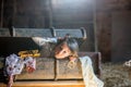 Little child, boy, hiding in old vintage suitcase in the attic