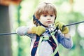 Little child climbing and having fun in adventure Park. Eco Resort Activities. Cute baby boy playing. Hike and kids Royalty Free Stock Photo