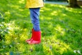 Little child in colorful rain boots. Close-up of school or preschool legs of kid boy or girl in different rubber boots