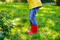 Little child in colorful rain boots. Close-up of school or preschool legs of kid boy or girl in different rubber boots Royalty Free Stock Photo