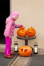 Little child considers Halloween pumpkin.