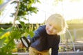 Little child exploring nature with magnifying glass in community kitchen garden . Close up. Little boy looking with magnifying Royalty Free Stock Photo