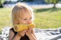 Little child girl eat sweet corn cob, sitting on plaid on grass in summer day. Healthy eating. Royalty Free Stock Photo