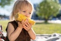 Little child girl eat sweet corn cob, sitting on plaid on grass in summer day. Healthy eating. Royalty Free Stock Photo