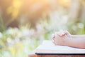 Little child girl hands folded in prayer on a Holy Bible Royalty Free Stock Photo