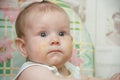 Little child girl sits in a highchair and eats cookies