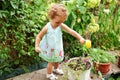 Little child girl watering plants and flowers in a garden Royalty Free Stock Photo