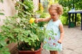 Little child girl watering plants and flowers in a garden Royalty Free Stock Photo