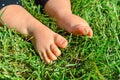 Little child on the grass, baby feet on the green grass in the p Royalty Free Stock Photo