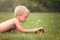 Little child with a guinea pig pet Royalty Free Stock Photo