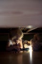 Little child, hiding under the bed, hugging teddy bear and holding flashlight Royalty Free Stock Photo