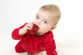 Little child holding a toy in his mouth Royalty Free Stock Photo