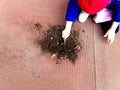 Little child playing, expolring and gardening in the garden with soil, leaves, nuts, sticks, plants, seeds during a school Royalty Free Stock Photo