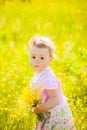 Little child playing with field flowers on spring or summer day Royalty Free Stock Photo