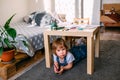 Little child playing hide and seek at home under the children& x27;s table. Royalty Free Stock Photo