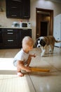little child plays in the house with a St. Bernard puppy.