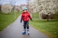 Little child, preschool boy in protective equipment and rollers blades, riding on walkway Royalty Free Stock Photo