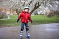 Little child, preschool boy in protective equipment and rollers blades, riding on walkway Royalty Free Stock Photo