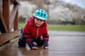 Little child, preschool boy in protective equipment and rollers blades, riding on walkway Royalty Free Stock Photo