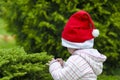 Little child in santa hat on a green background. decorate a christmas tree. winter holidays. waiting for the new year Royalty Free Stock Photo