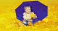 Little child sitting on grass with umbrella playing with yellow leaves in autumn park