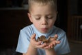 Little child with stick insect on his hands. Phasmid insect pet concept with copy space