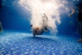 Little child swims underwater in swimming pool Royalty Free Stock Photo