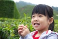 Little child at tea plantation