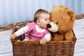 Little child with teddy bear sitting in the basket Royalty Free Stock Photo