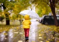 Little child walking in the city park at rainy autumn day