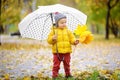 Little child walking in the city park at rainy autumn day. Toddler boy with umbrella for fall weather