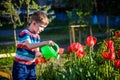 Little child walking near tulips on the flower bed in beautiful Royalty Free Stock Photo