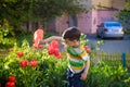 Little child walking near tulips on the flower bed in beautiful Royalty Free Stock Photo