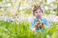 Little child wearing Easter bunny ears and eating chocolate at s Royalty Free Stock Photo
