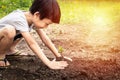 Little child were planting seedling on soil. Asian boy planting young tree Royalty Free Stock Photo