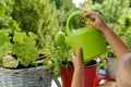 little child 4 years old, girl pours water from watering can on plants in pots, vegetables in garden, concept happy childhood in Royalty Free Stock Photo