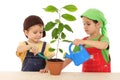 Little children caring for plant