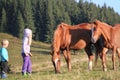 Children and horses in the mountains Royalty Free Stock Photo