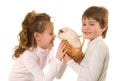 Little children with guinea pig
