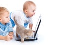 Little children, kitten, and laptop Royalty Free Stock Photo