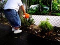 Little children playing, expolring and gardening in the garden with soil, leaves, nuts, sticks, plants, seeds during a school Royalty Free Stock Photo